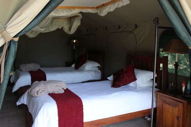 Barotse Tiger Camp - Gallery 1