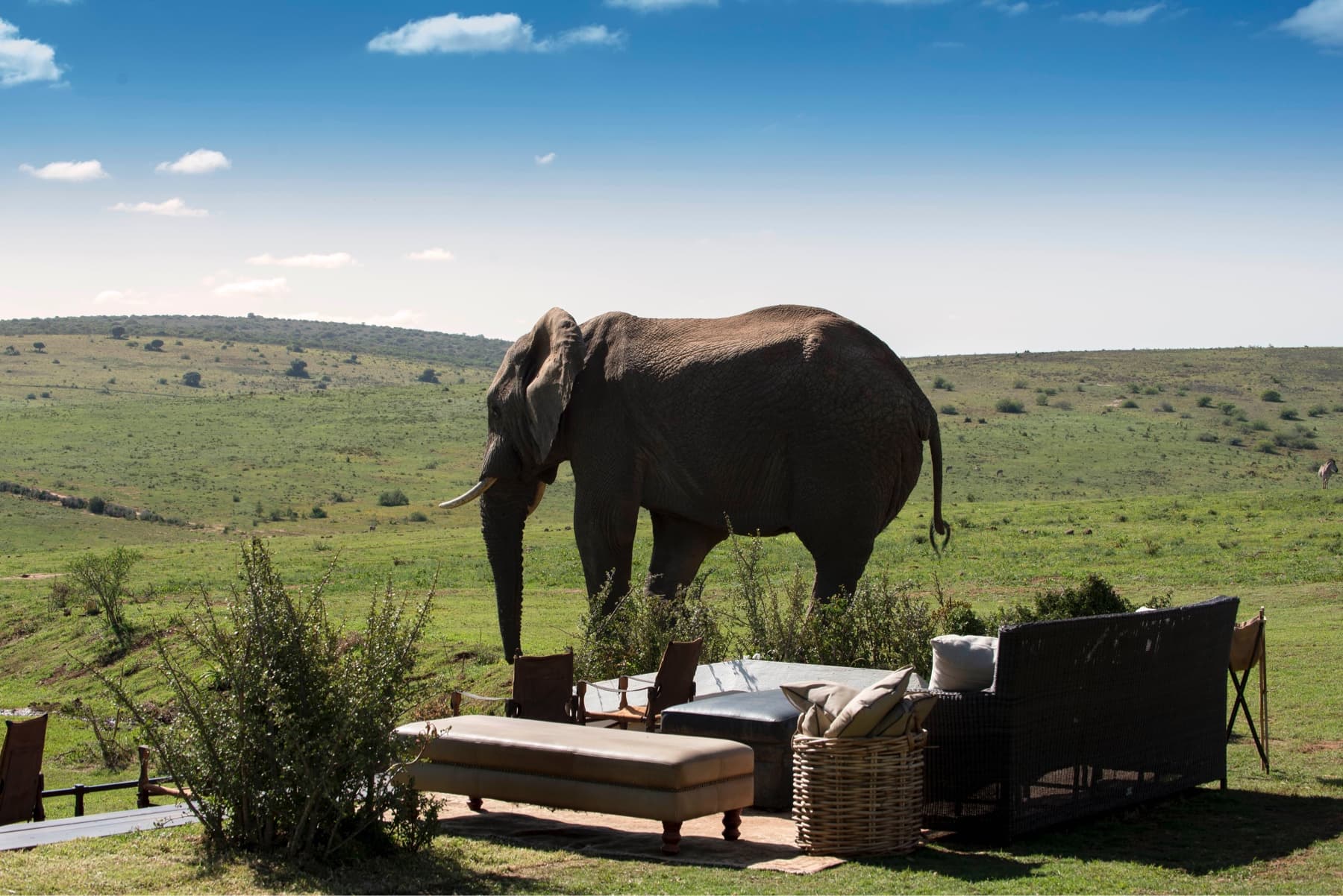 Gorah Elephant Camp