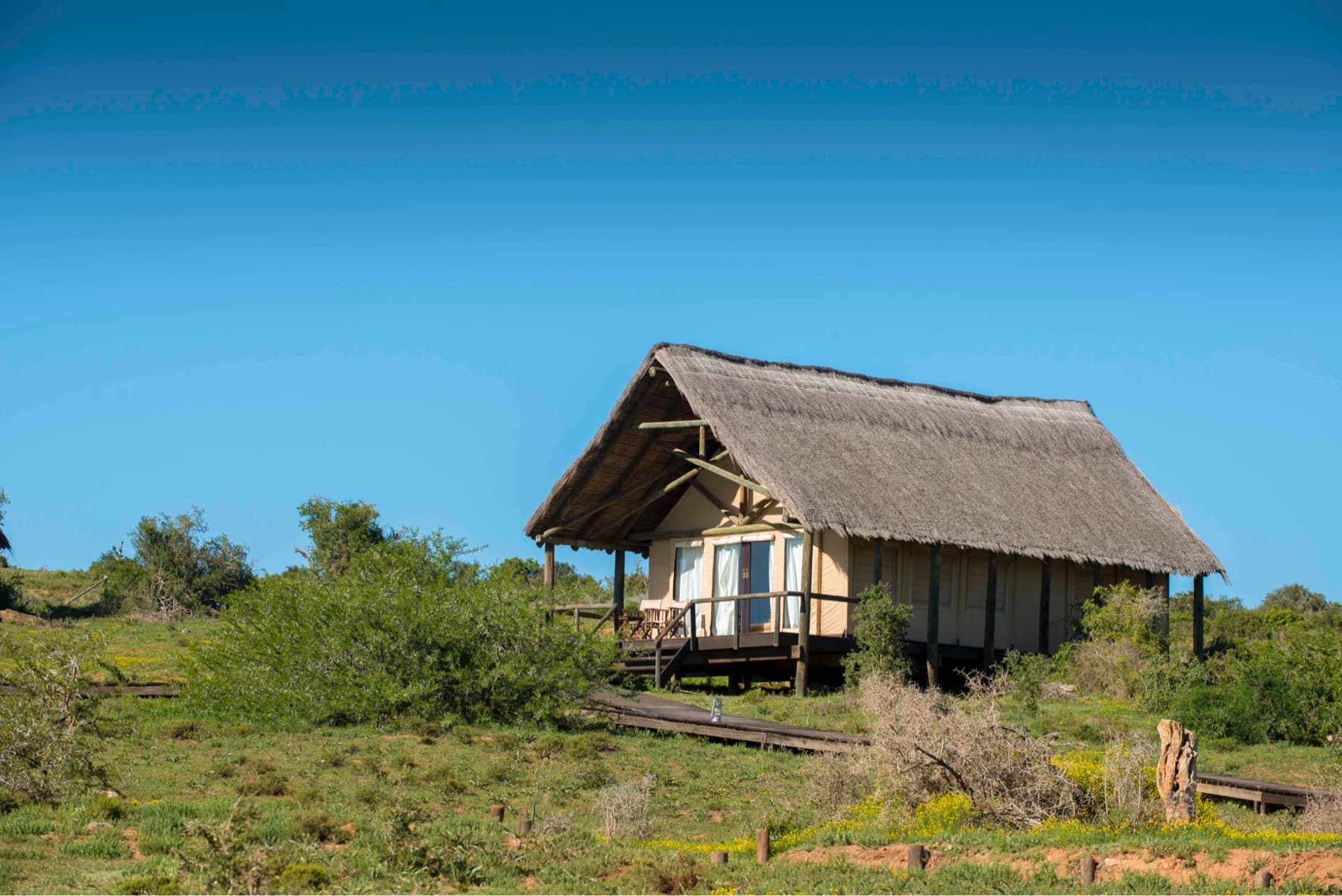 Gorah Elephant Camp - Gallery 3