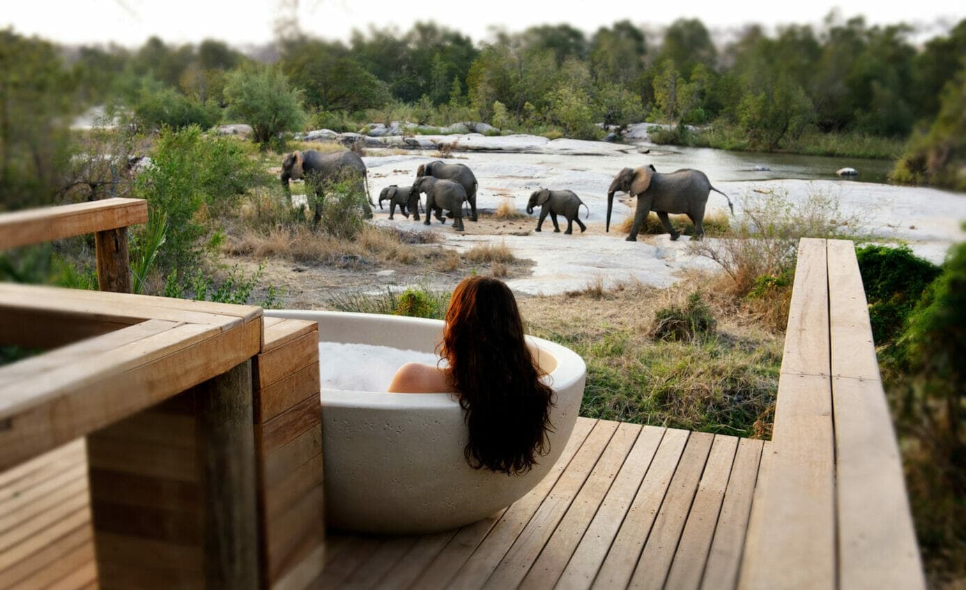 Londolozi Private Game Reserve - Gallery 3