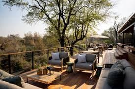 Simbambili Game Lodge - Gallery 3